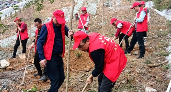 村企共建，共植先锋林